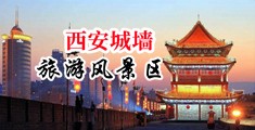 高清无码舔阴视频中国陕西-西安城墙旅游风景区